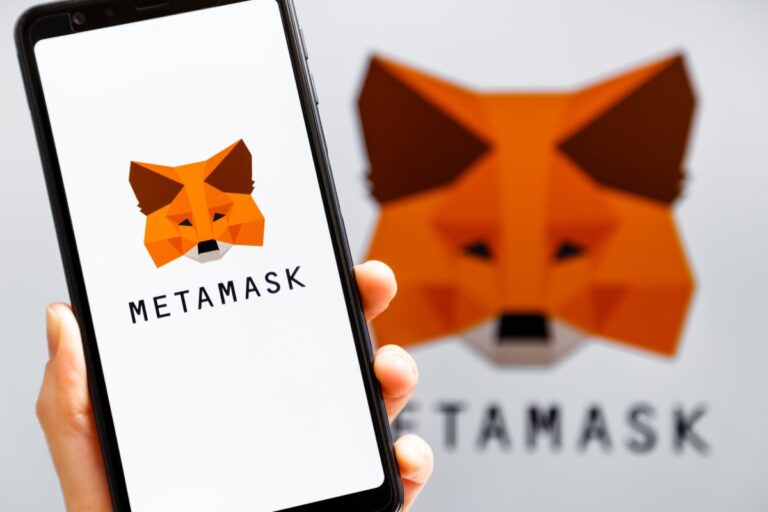 metamask wallet can hold both